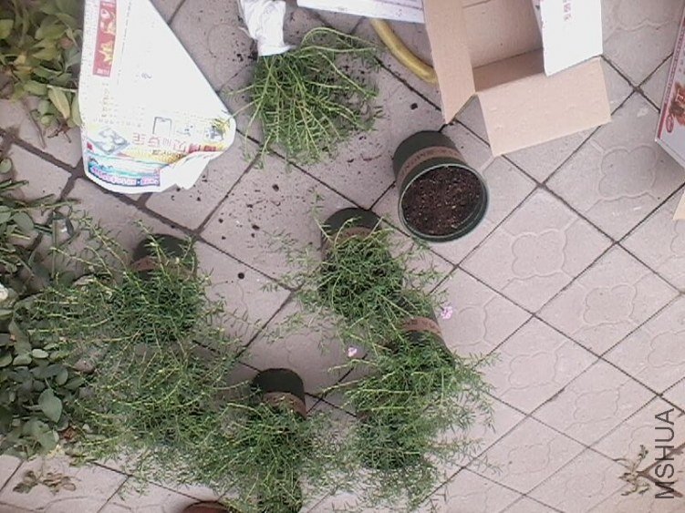 IMG0188A.jpg