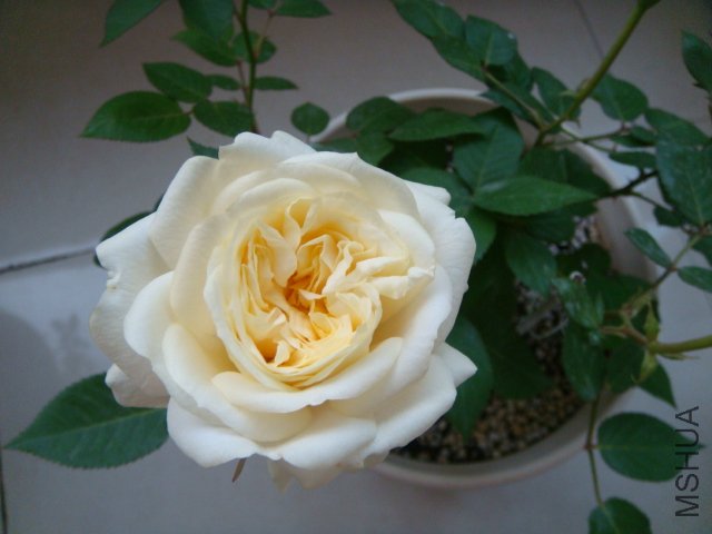 DSC03059.JPG