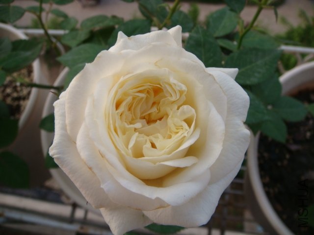 DSC03380.JPG