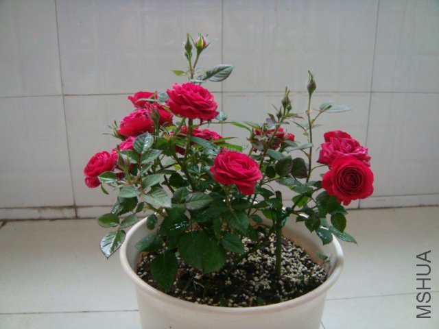 DSC03322.JPG