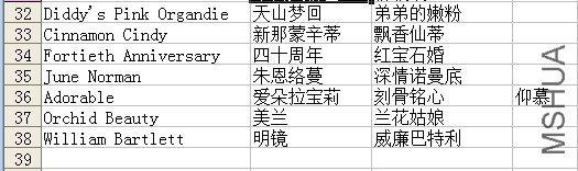 02.jpg