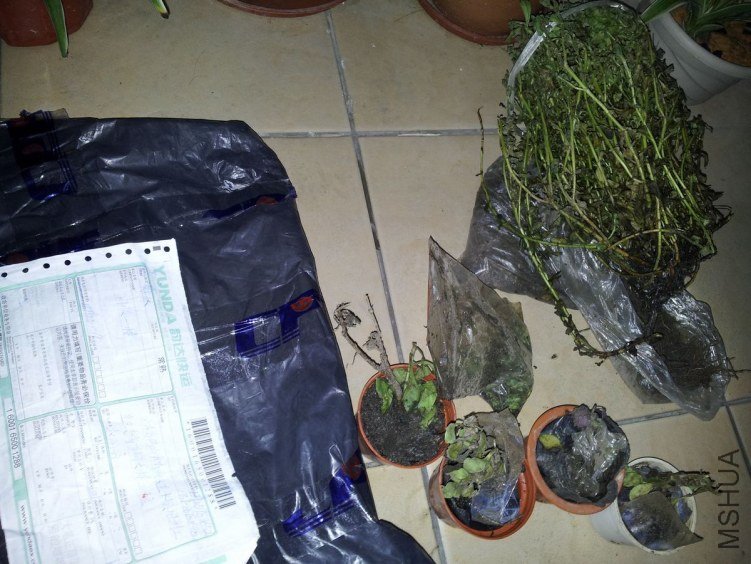 20120901_192524.jpg