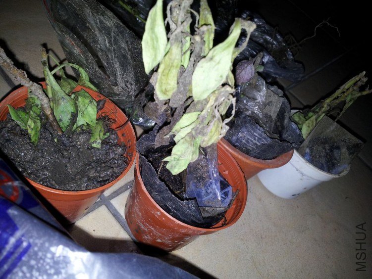 20120901_192534.jpg