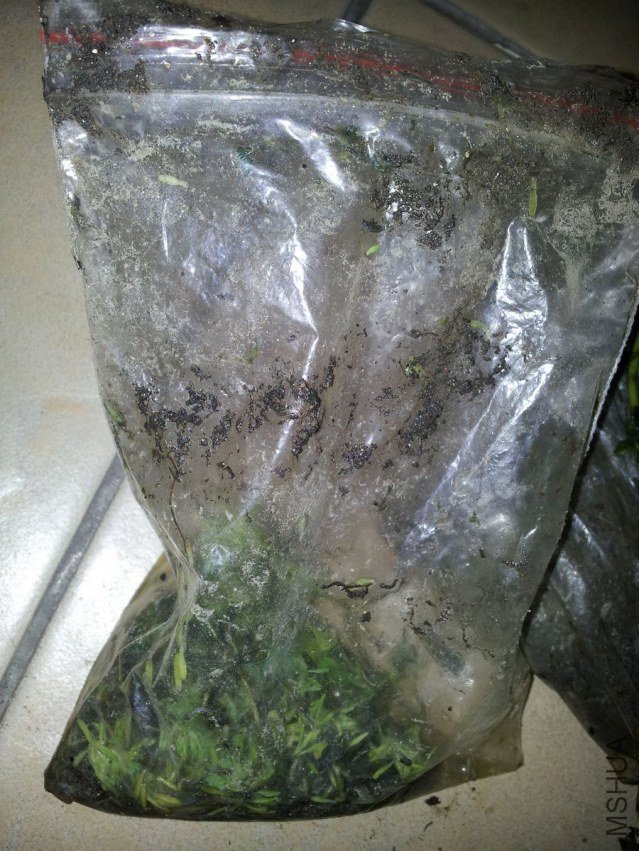 20120901_192554.jpg