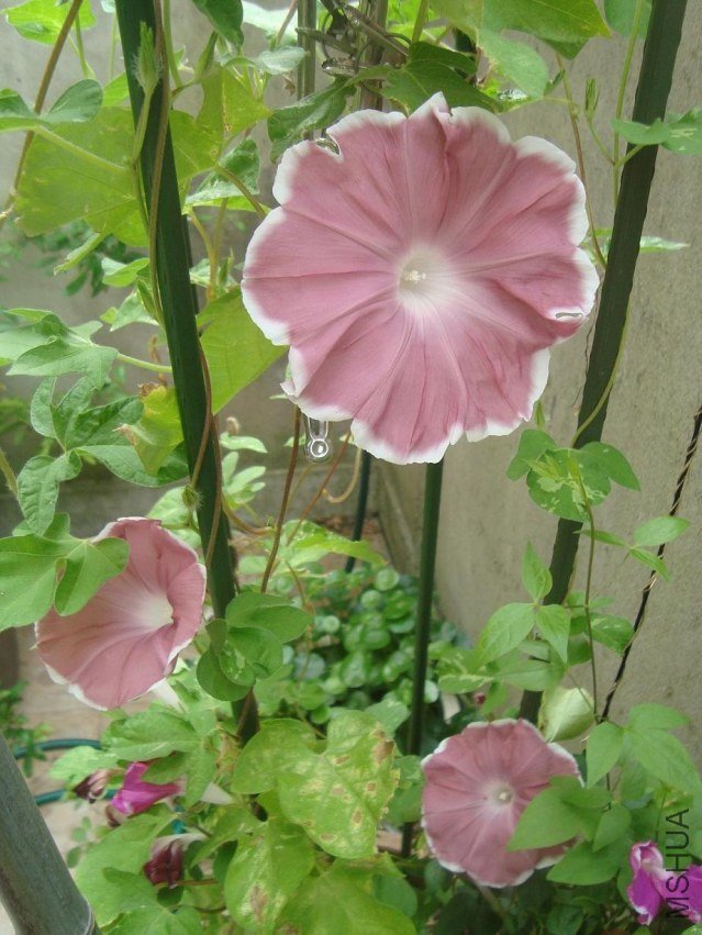 DSC03584.JPG