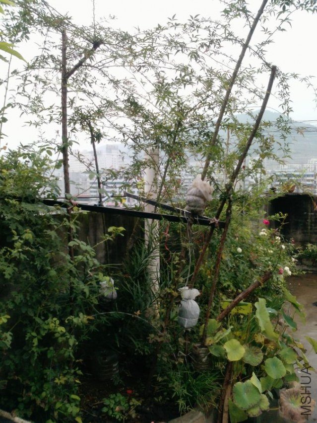 P1234_30-08-12.jpg