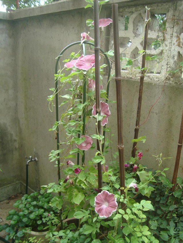 DSC03582.JPG
