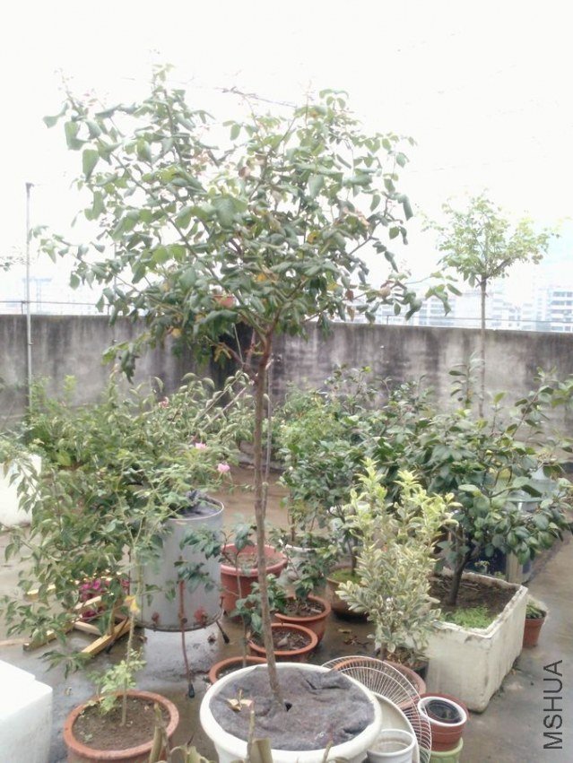 P1235_30-08-12.jpg