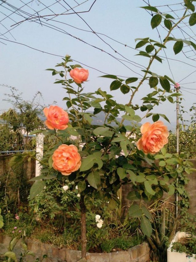 P0805_13-08-12.jpg