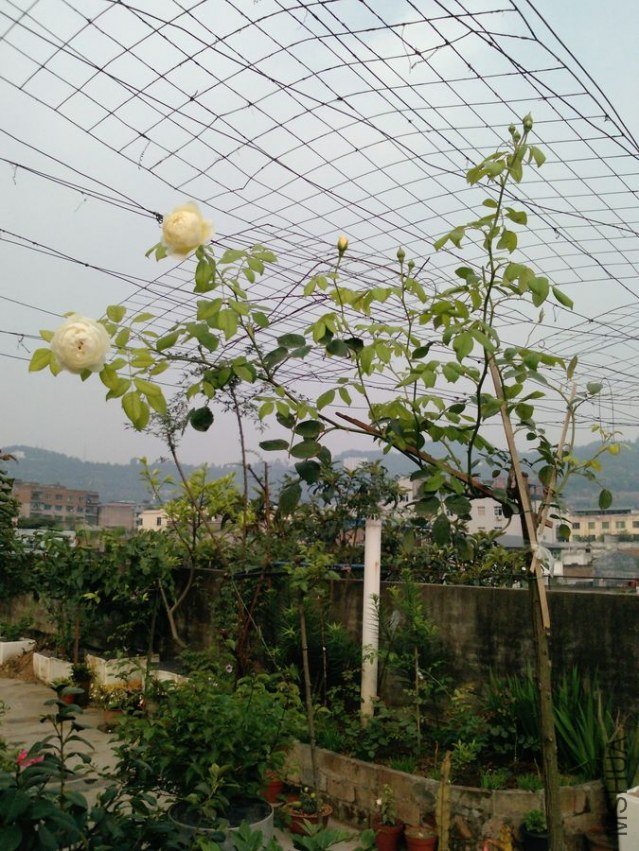 P0810_18-05-12.jpg