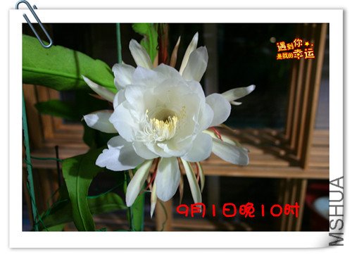 ��Ƭ 029_����1.jpg