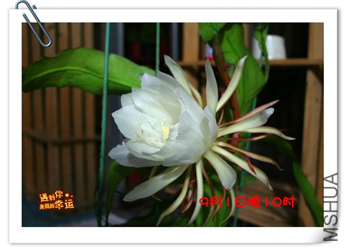 ��Ƭ 029����2.jpg