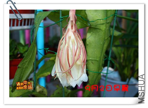 ��Ƭ 029_����3.jpg