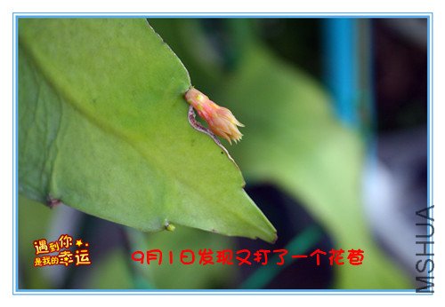 ��Ƭ 030_����.jpg