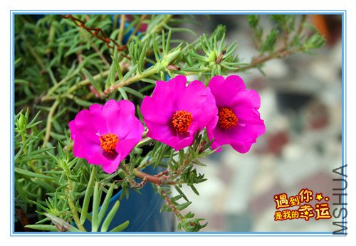 ��Ƭ 016_����.jpg