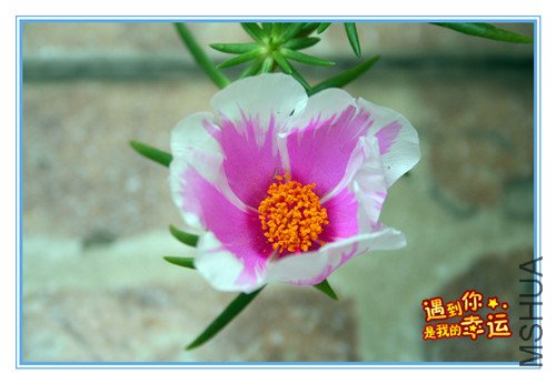 ��Ƭ 016_����2.jpg