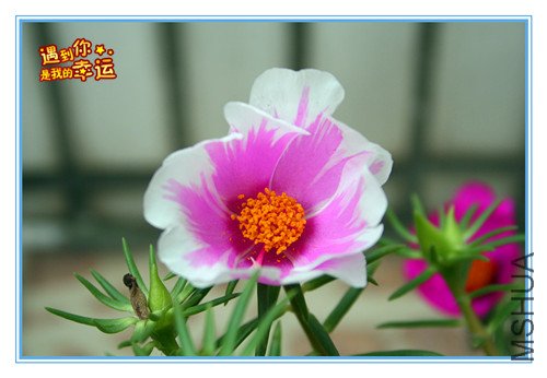 ��Ƭ 016����1.jpg