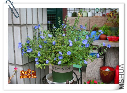 ��Ƭ 002_����.jpg