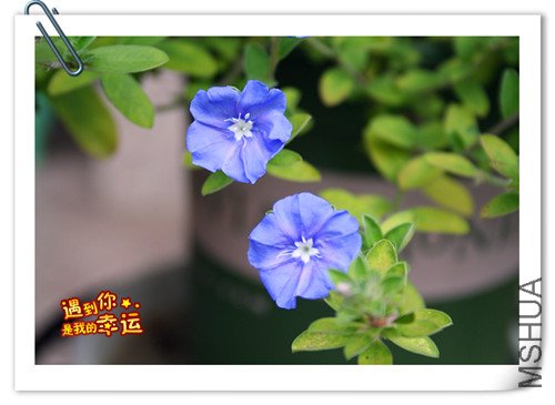 ��Ƭ 001_����.jpg