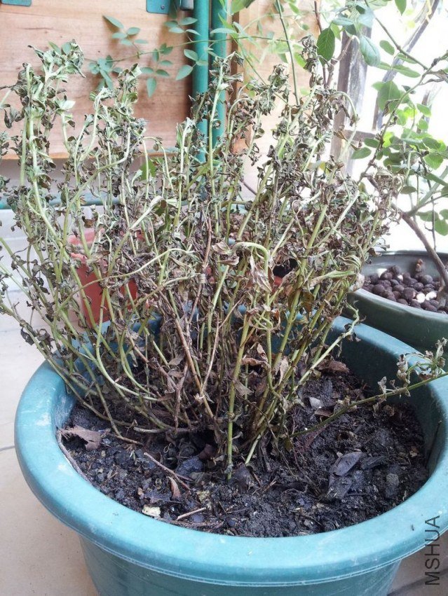 20120902_125508.jpg
