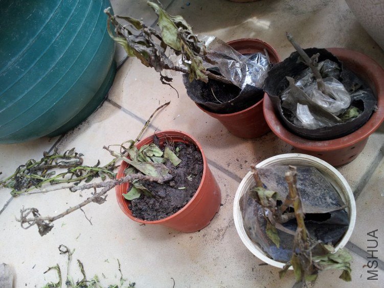 20120902_125542.jpg