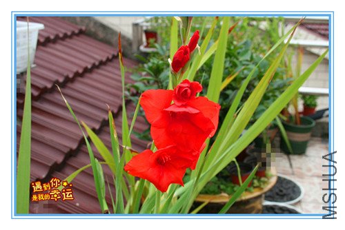 ��Ƭ 001_����.jpg