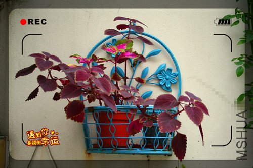 ��Ƭ 031_����.jpg