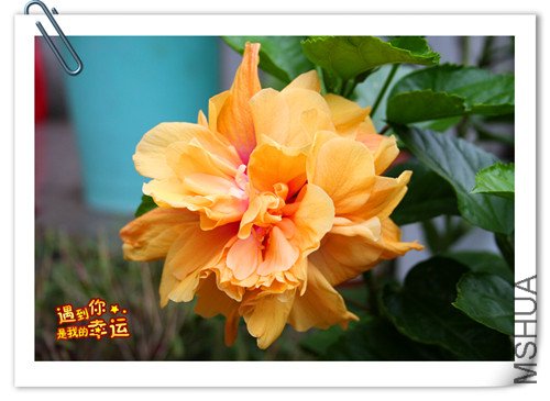 ��Ƭ 013_����.jpg