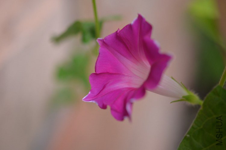 ��۹���ǣţ20120828 002.JPG