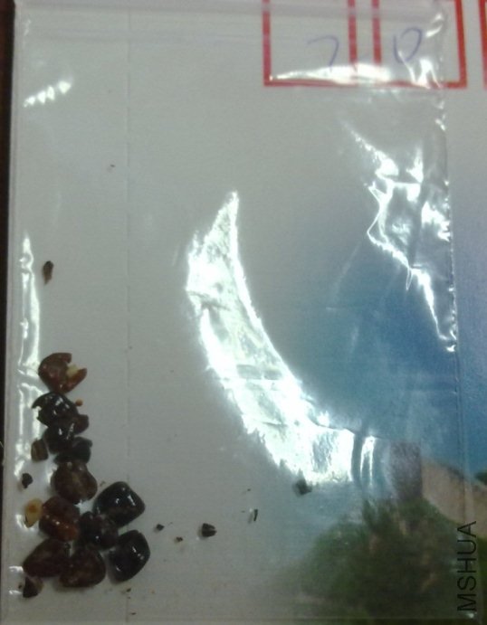 20120904123.jpg