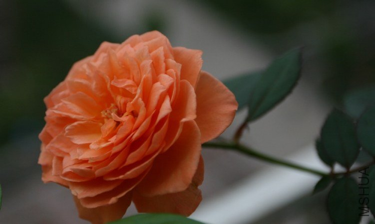 ��Ƭ 041.jpg