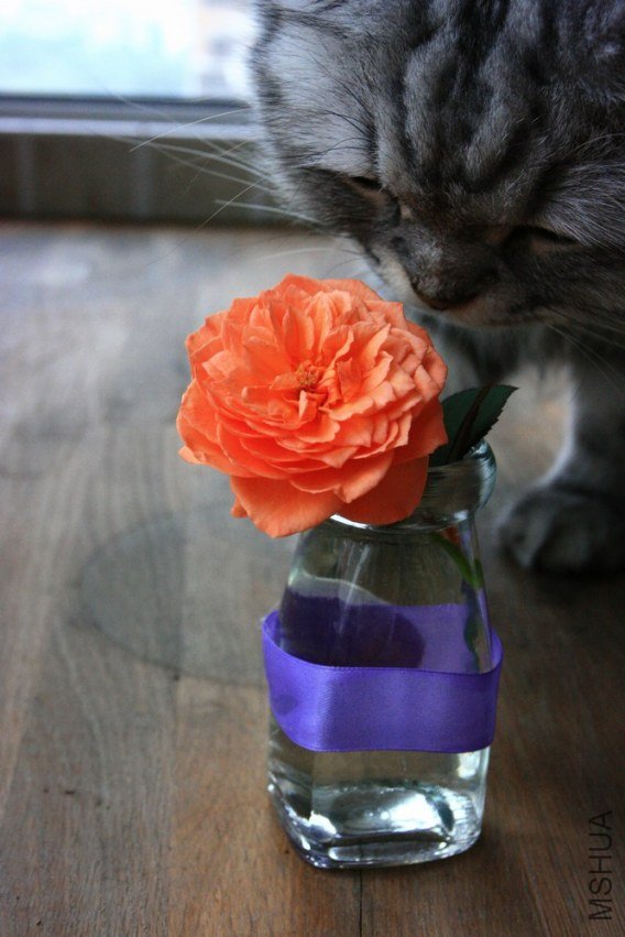��Ƭ 045.jpg