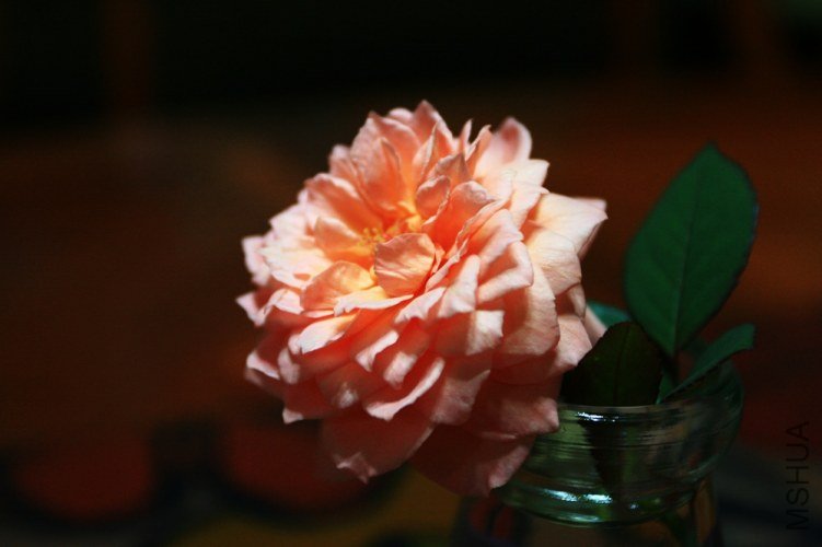 ��Ƭ 053.jpg