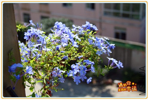 ��Ƭ 023_����1.jpg