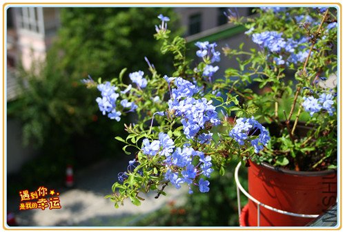 ��Ƭ 023_����2.jpg