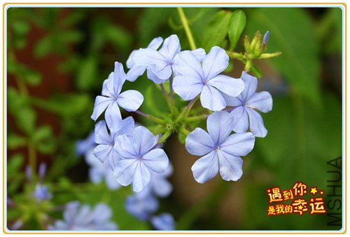 ��Ƭ 023����3.jpg