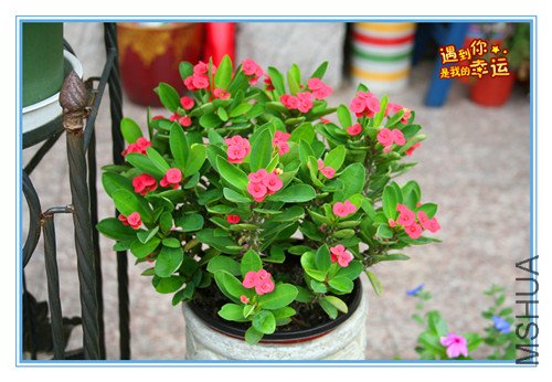 ��Ƭ 003_����.jpg