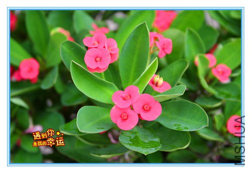 ��Ƭ 004_����.jpg