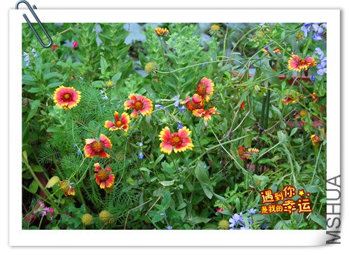 ��Ƭ 018_����1.jpg