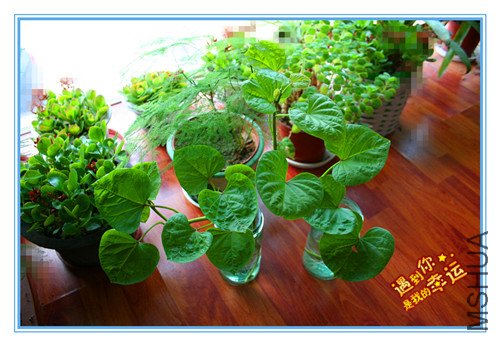 ��Ƭ 044_����.jpg