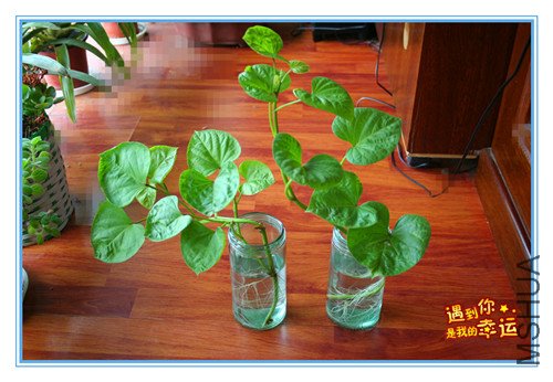 ��Ƭ 045_����.jpg