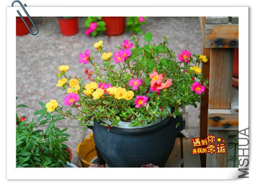 ��Ƭ 010_����2.jpg