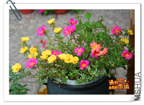 ��Ƭ 011_����22.jpg