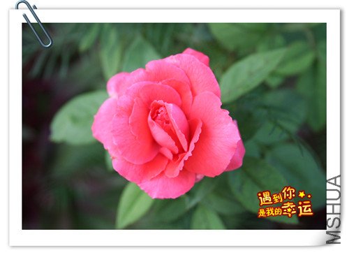 ��Ƭ 011_����.jpg