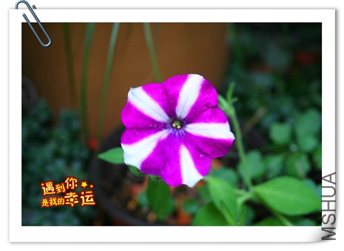 ��Ƭ 039_����.jpg