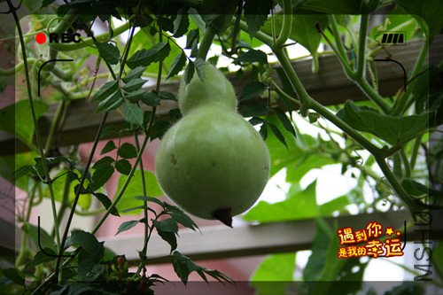 ��Ƭ 003_����2.jpg