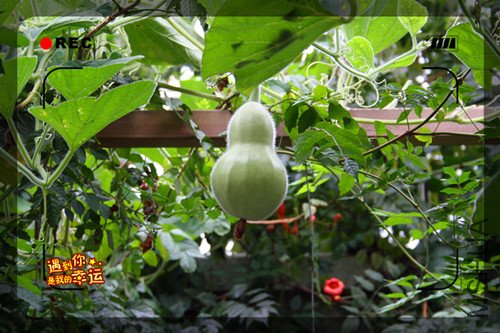 ��Ƭ 003_����6.jpg