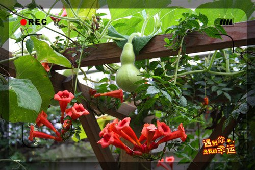 ��Ƭ 003����5.jpg