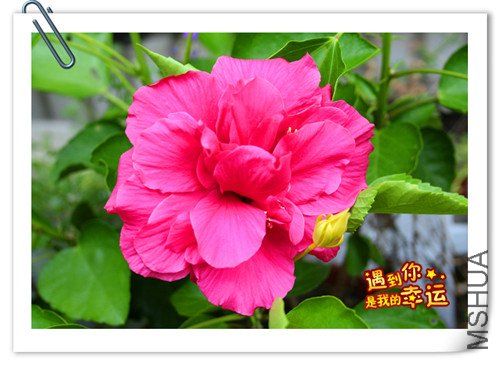 ��Ƭ 022_����.jpg