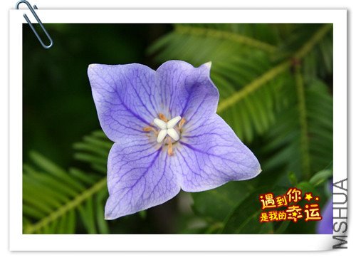 ��Ƭ 014_����.jpg